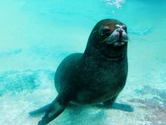 -珠海长隆海洋王国