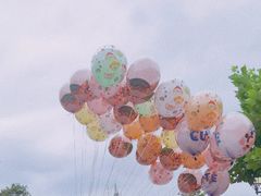 -上海迪士尼度假区