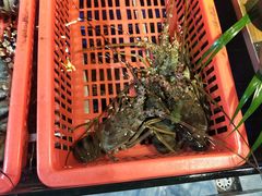 -79号渔船海鲜饭店(华强北店)