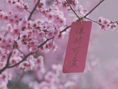 -勺园西餐厅