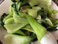 -绿野餐厅(上海动物园店)