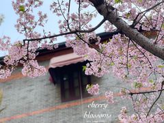 -静安雕塑公园