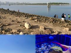 -巧克力渔家.小船海鲜胶东菜(万平口店)