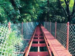 -藏龙百瀑风景区