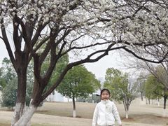 -盘龙城国家考古遗址公园