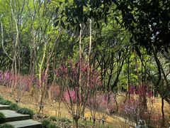 -杭州半山国家森林公园