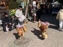 -南诏风情岛