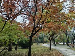 -元大都城垣遗址公园