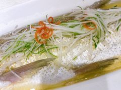 -金枝玉叶上海人家食府(三里河店)