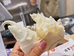 -野人先生现做冰淇淋(西安赛格店)