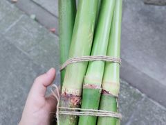 -上海佘山国家森林公园天马山园