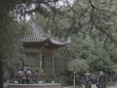 -千岛湖龙川湾