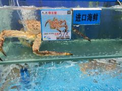 -小海豚•老字号海鲜餐厅(天涯店)