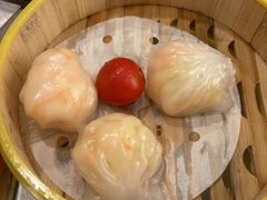 -潮江春(阳光店)
