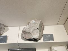 -安徽省地质博物馆