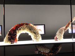 -上海虹桥中心爱琴海亚朵S酒店