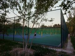 -回龙观体育文化公园