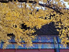 -红螺寺