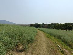 -光明小镇欢乐田园