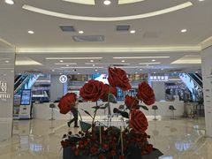 -红星美凯龙(北京北四环店)