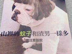 -香樟花园法式铁板烧(恒隆广场店)