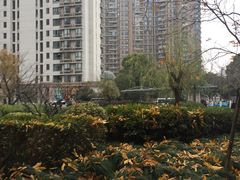 -新湖明珠城
