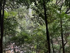 -鼎湖山风景区
