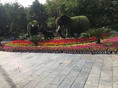 -石家庄市动物园