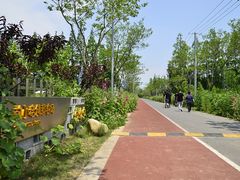 -前小桔亲子创意农场·草莓采摘·露营烧烤