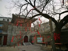 千年古槐-洛阳周公庙博物馆