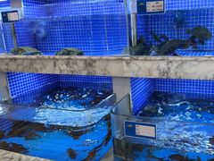 -香山湖渔家大院