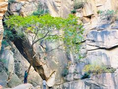 -黑龙潭风景区