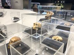 -北京周口店北京人遗址博物馆