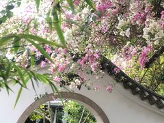 -深圳国际园林花卉博览园