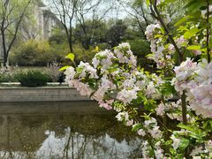 -元大都城垣遗址公园