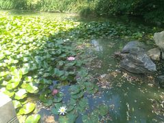 -镇江市南山风景名胜区竹林景区