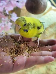 -酷嗒动物文化乐园(cutezoo西溪乐天城店)