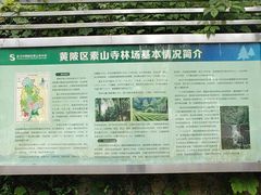 -素山寺森林公园