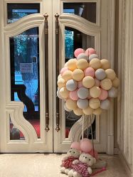 -皇家月府月子中心(沈阳店)