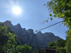 -云台山风景名胜区