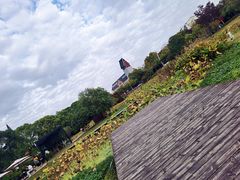 -美兰湖景区
