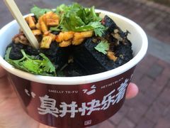 -黑色经典臭豆腐·湖南特产(潇湘文化店)