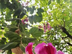 -南宁市凤岭儿童公园