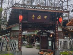 -青城甲(青城山店)