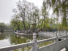 -莲湖公园