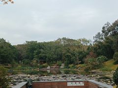 -云溪植物园