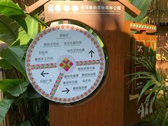 -西双版纳原始森林公园