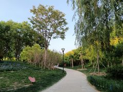 -东山植物园