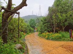 -杭州开元森泊度假乐园