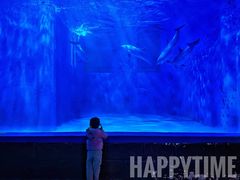 -多彩贵州城极地海洋世界